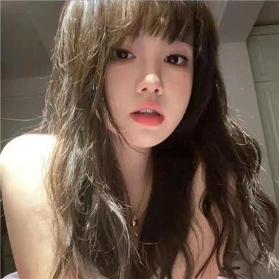 与鲨鱼游弋
